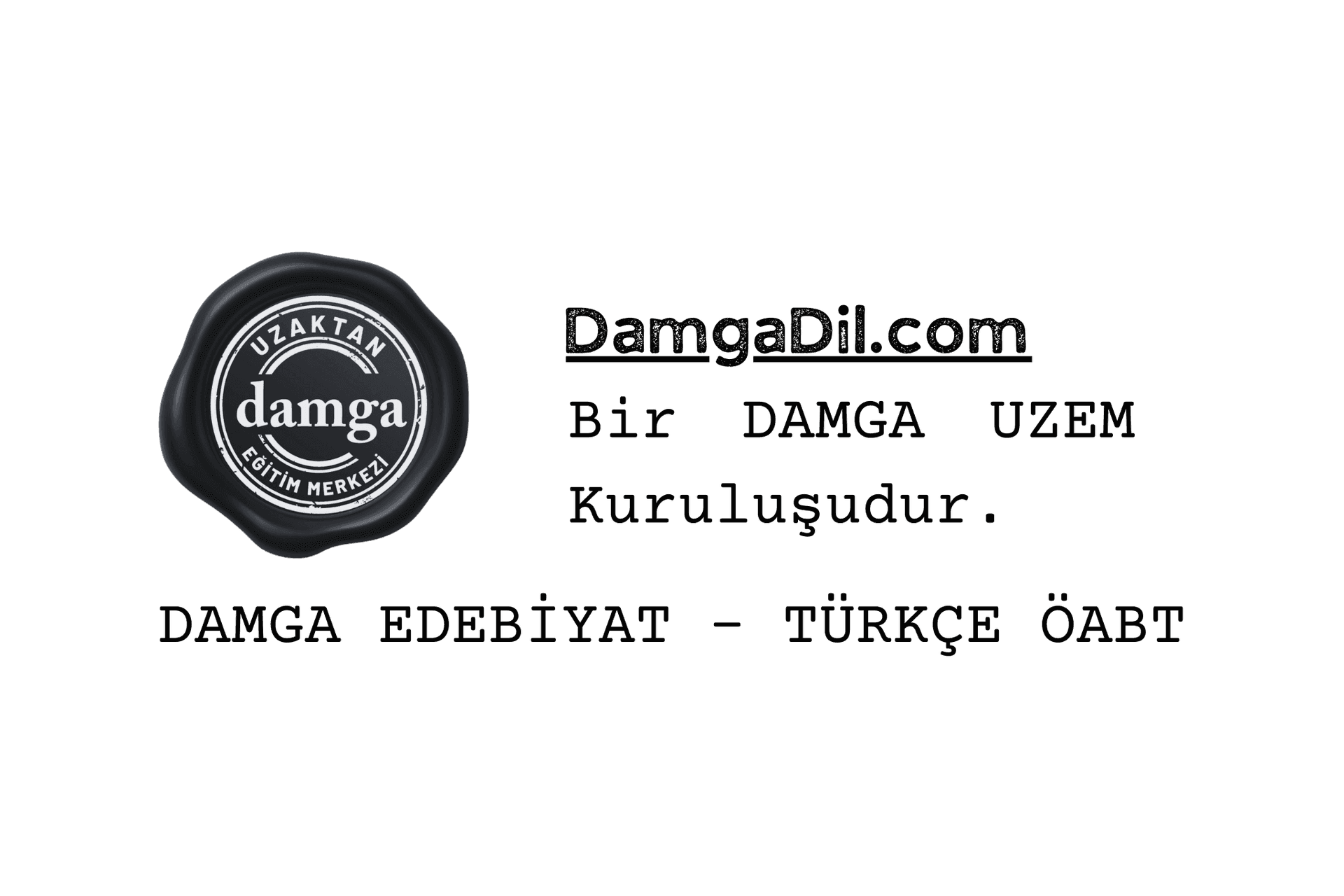 Logo of damga Uzaktan Eğitim Merkezi next to Turkish text mentioning DAMGA and literature.